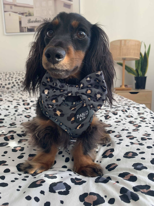 Khaki Leopard: Bow Tie