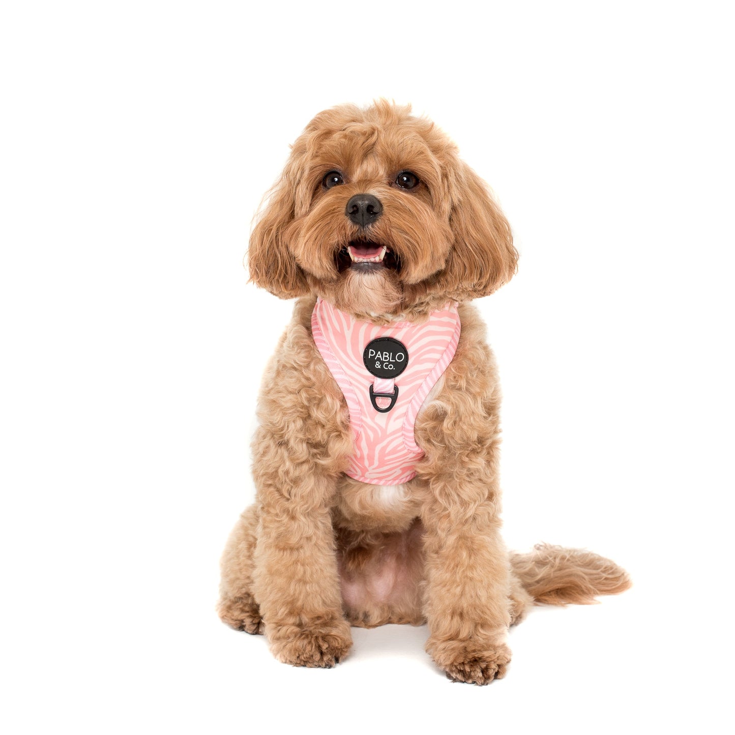 Pink Zebra: Adjustable Harness