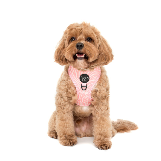 Pink Zebra: Adjustable Harness