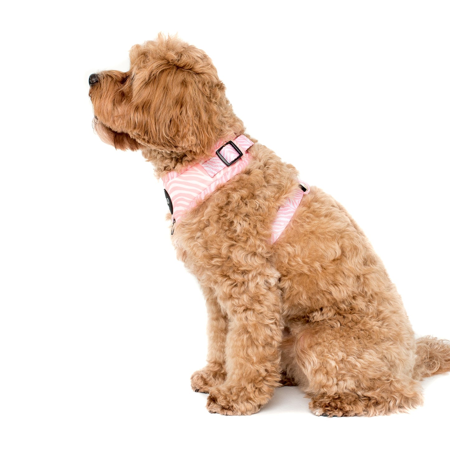 Pink Zebra: Adjustable Harness