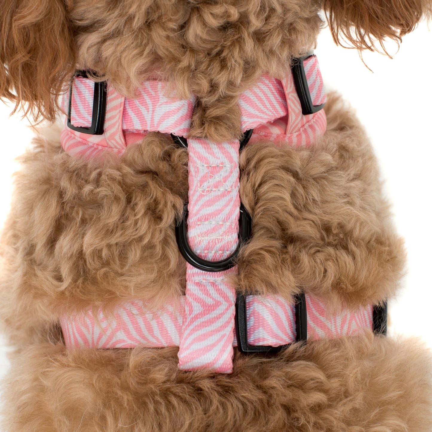 Pink Zebra: Adjustable Harness